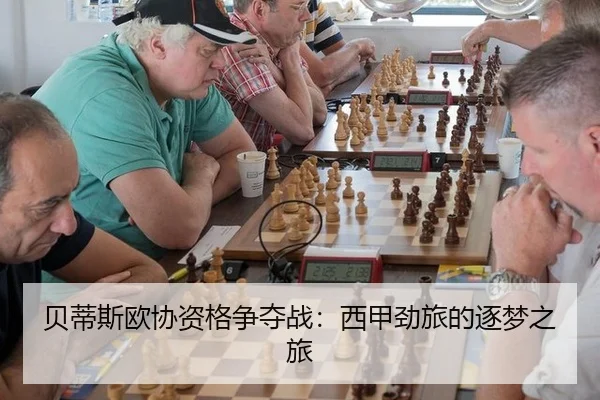 bei-di-si-ou-xie-zi-ge-zheng-duo-zhan-xi-jia-jing-lv-de-zhu-meng-zhi-lv-2-371.jpg